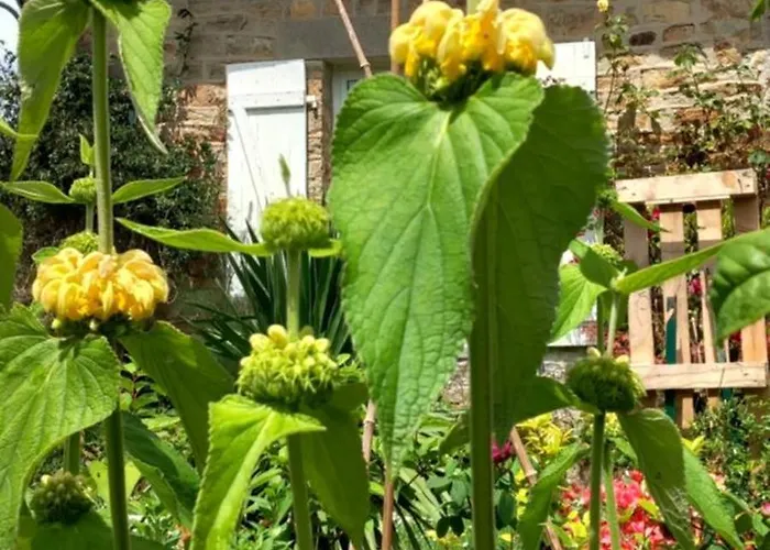 La Chatre Bed & Breakfast